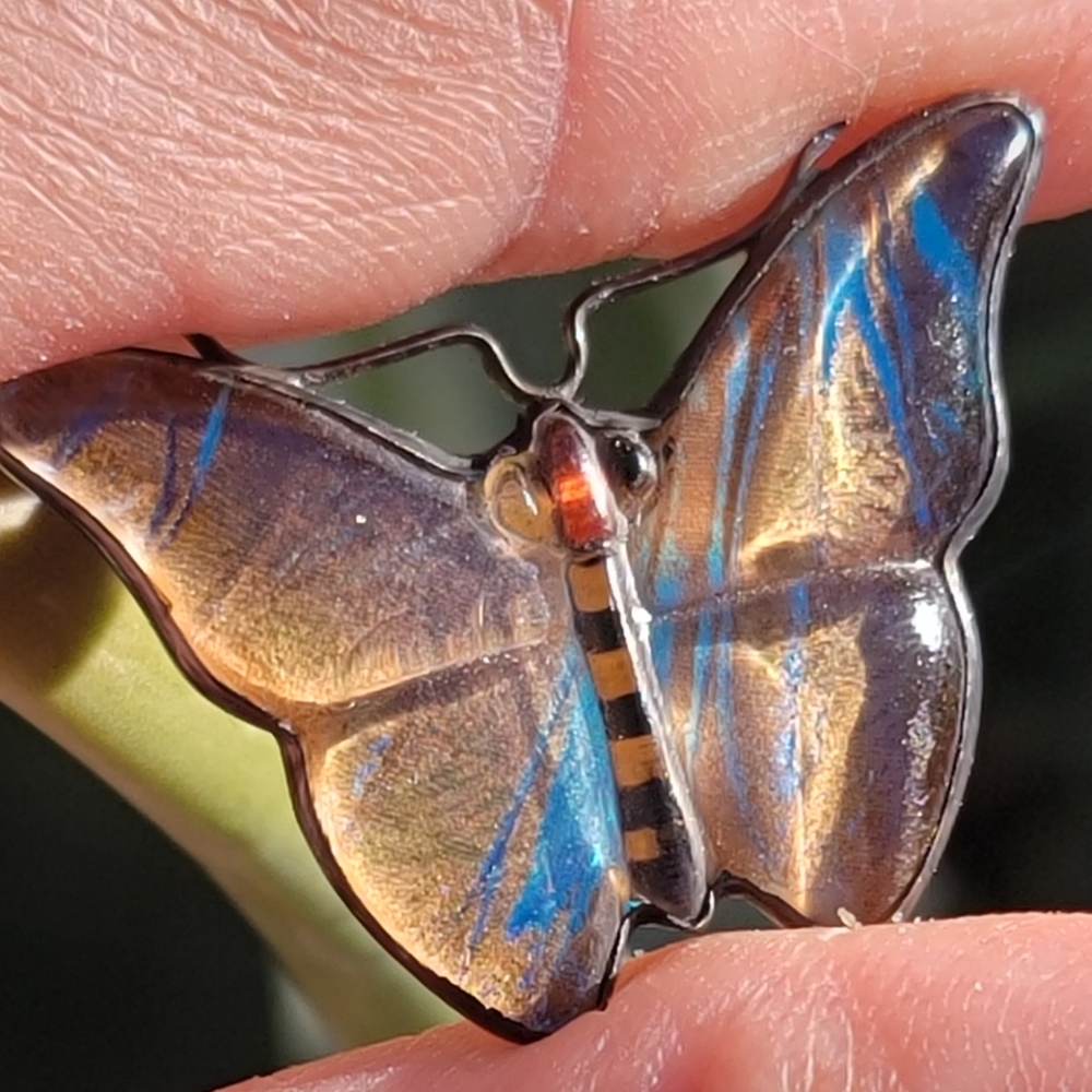 Antique Victorian real butterfly wing blue multicolored 925 sterling silver broo